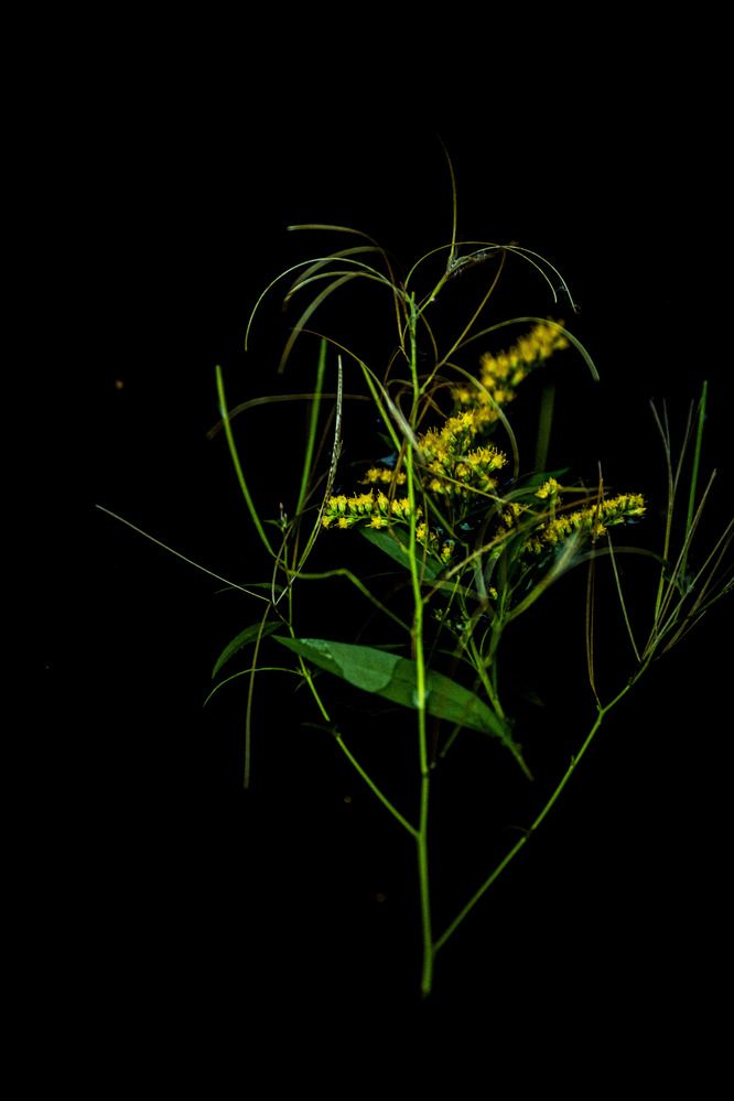 Photograph by Оксана Серёгина