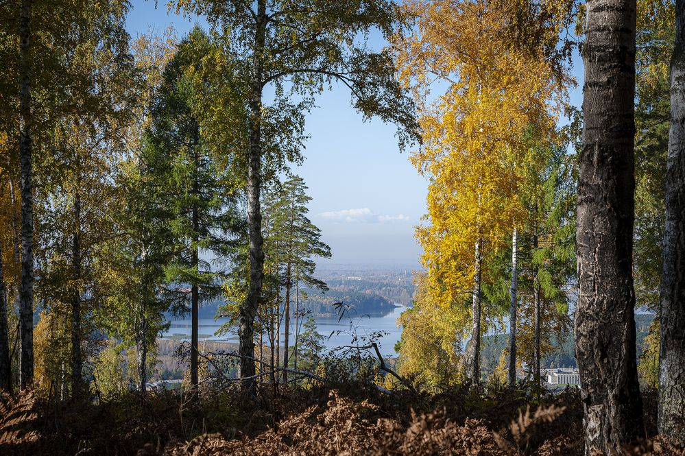 Photograph by Вадим Басов