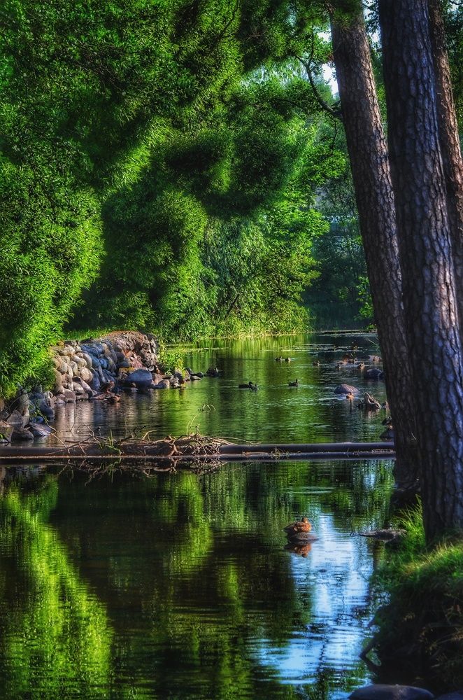 Photograph by Алена Самошина