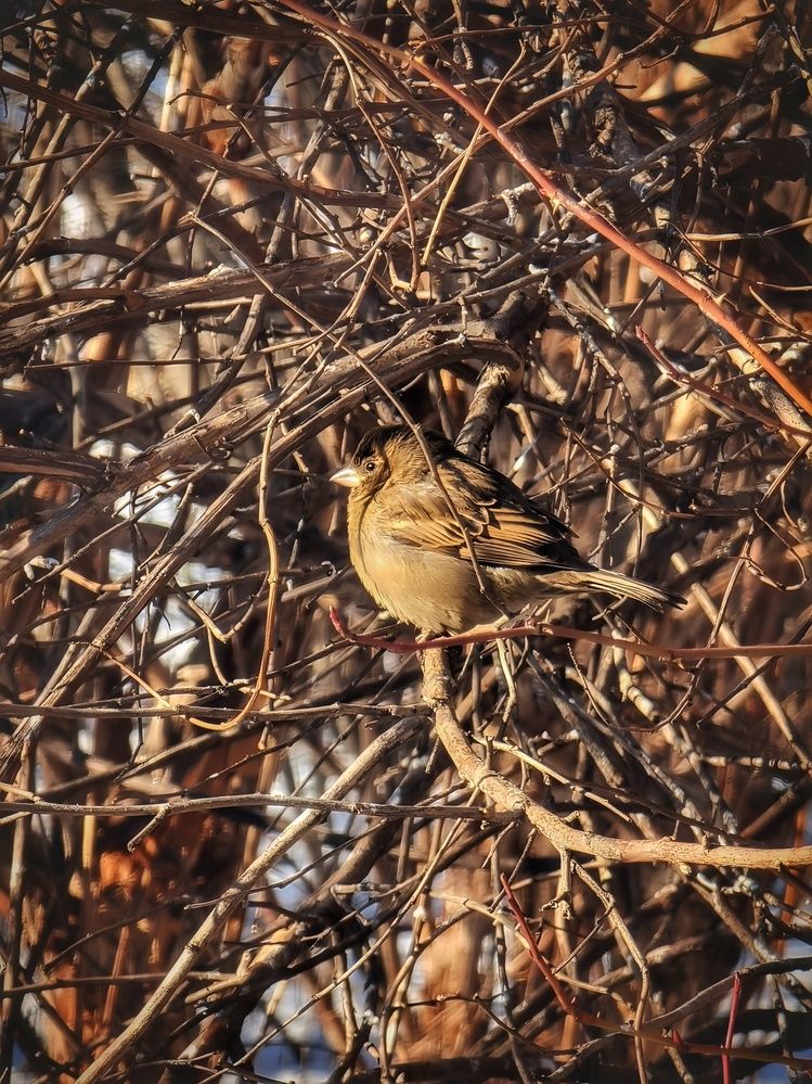 Photograph by Алена Самошина