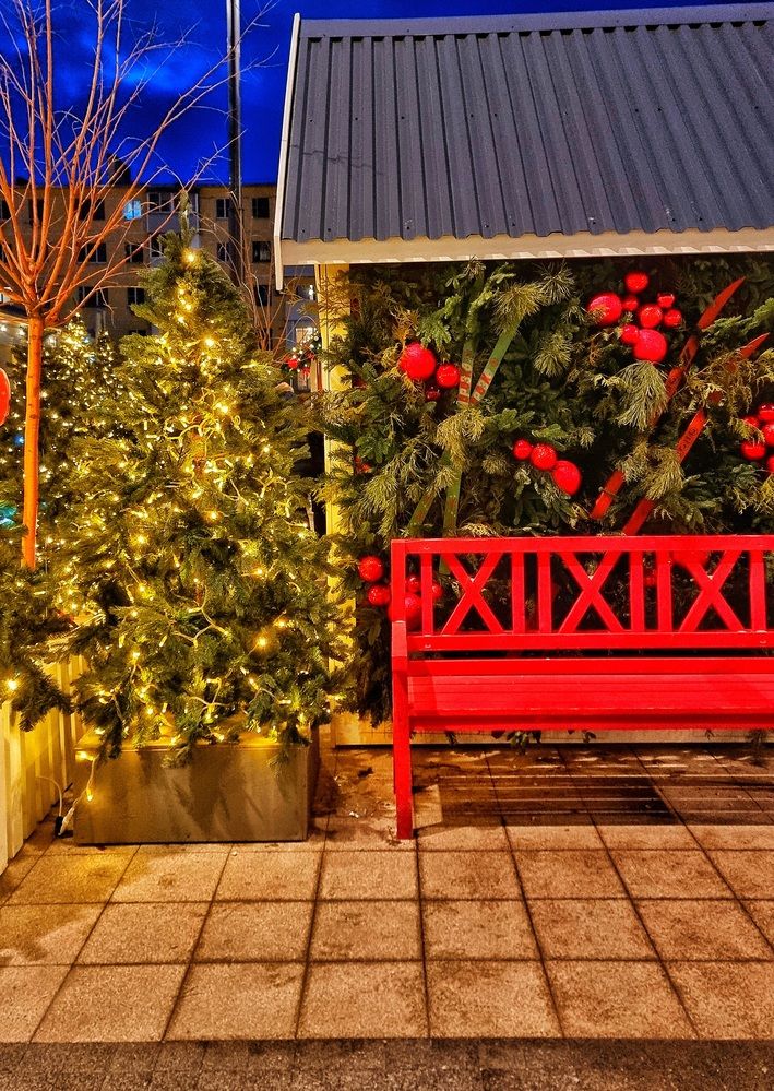 Photograph by Алена Самошина