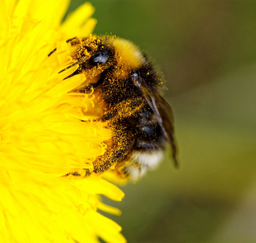 Photograph by Павел Кулинич