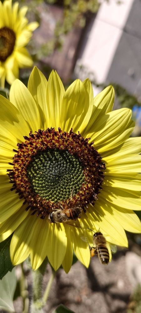 Photograph by Татьяна Стаскевич