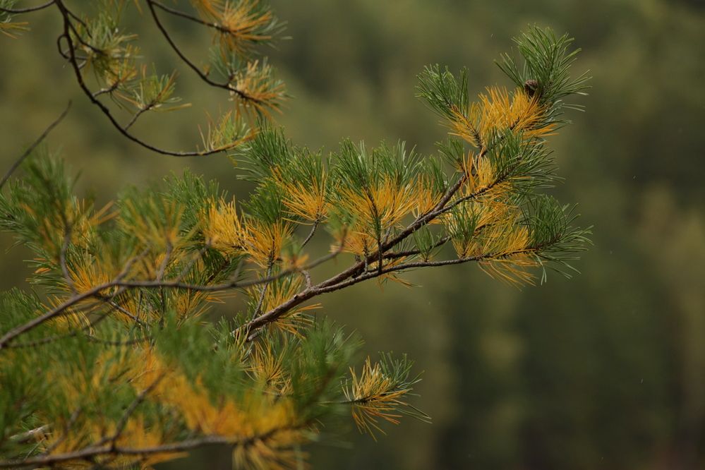 Фотография автора Александр Кожевников
