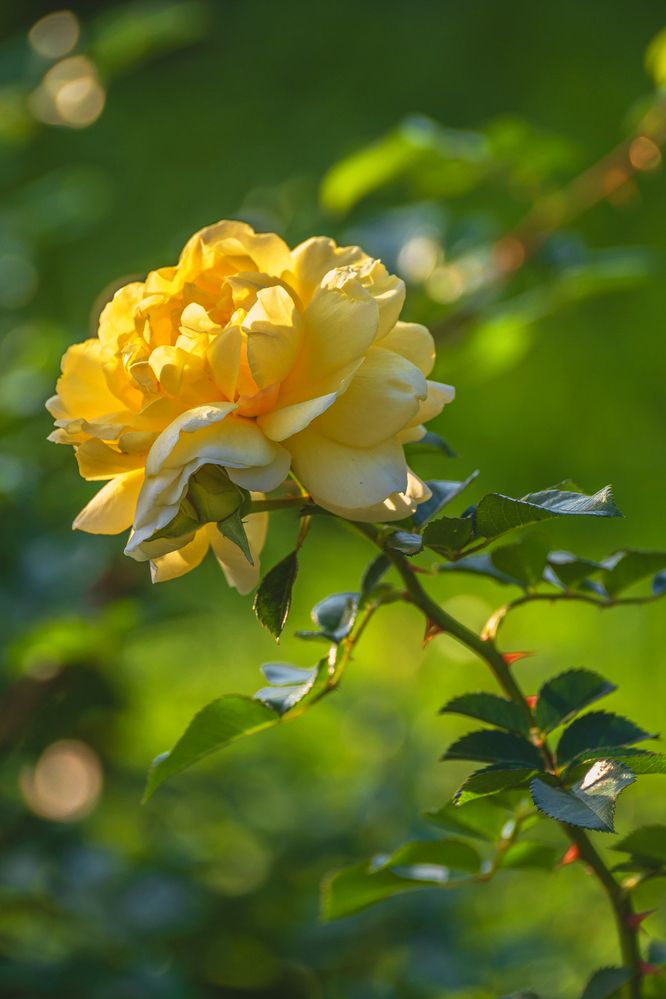 Photograph by Марина Короткова