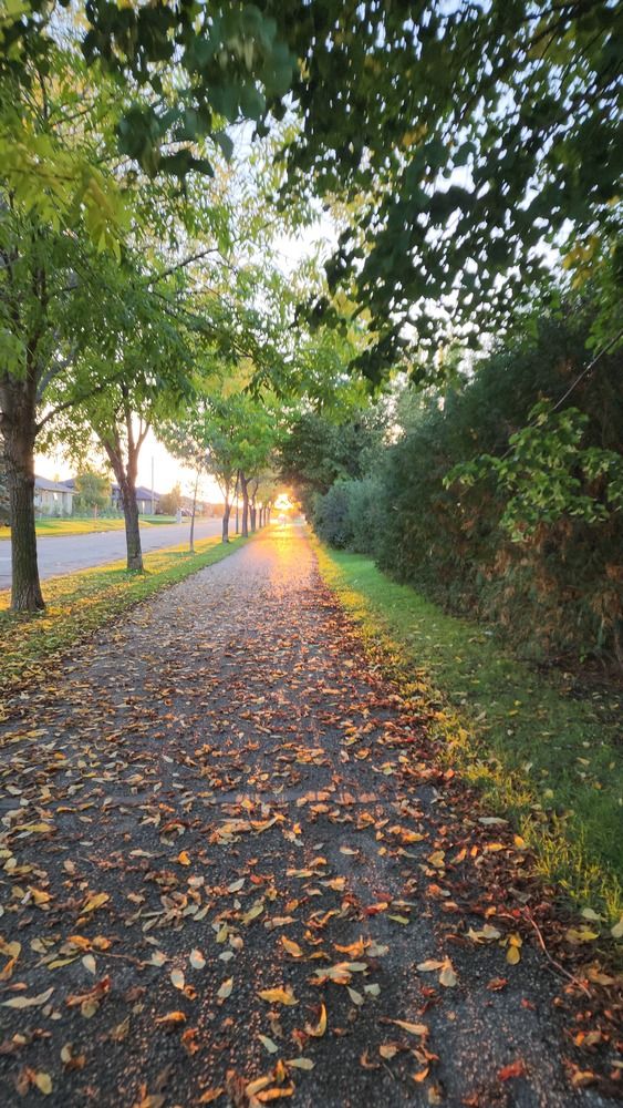 Фотография автора Al