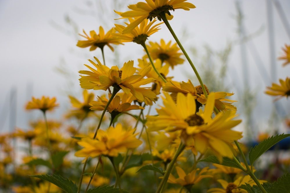 Фотография автора Al