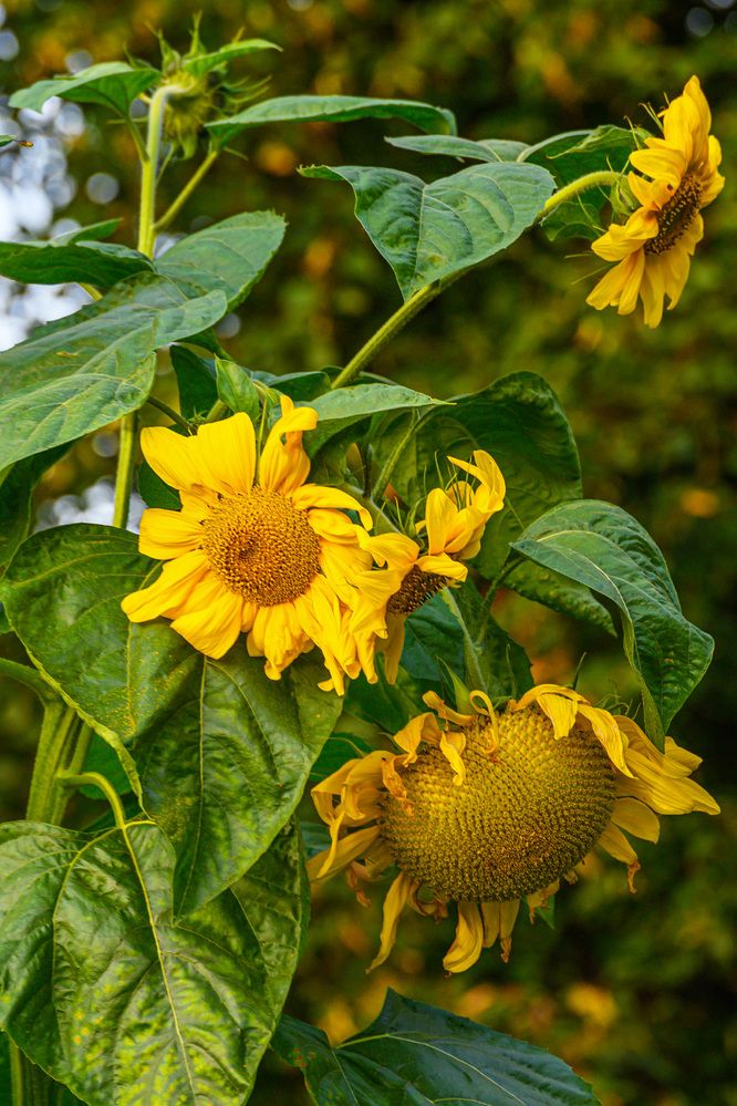 Photograph by Марина Короткова