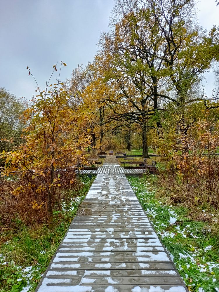 Photograph by Наталья Колеватова