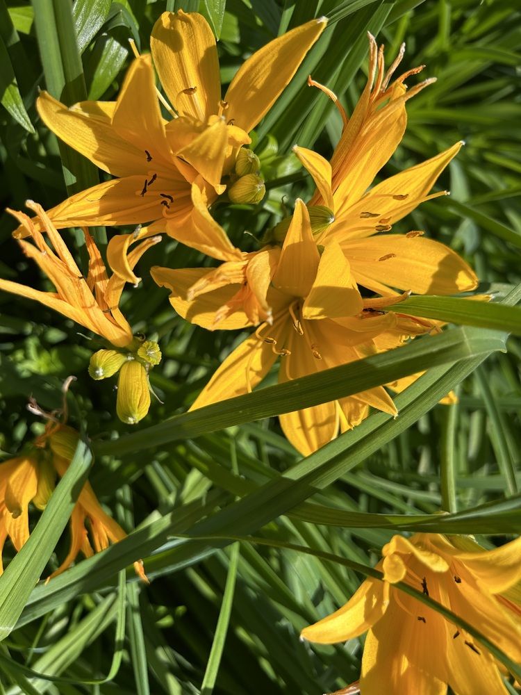 Photograph by Елена Власова