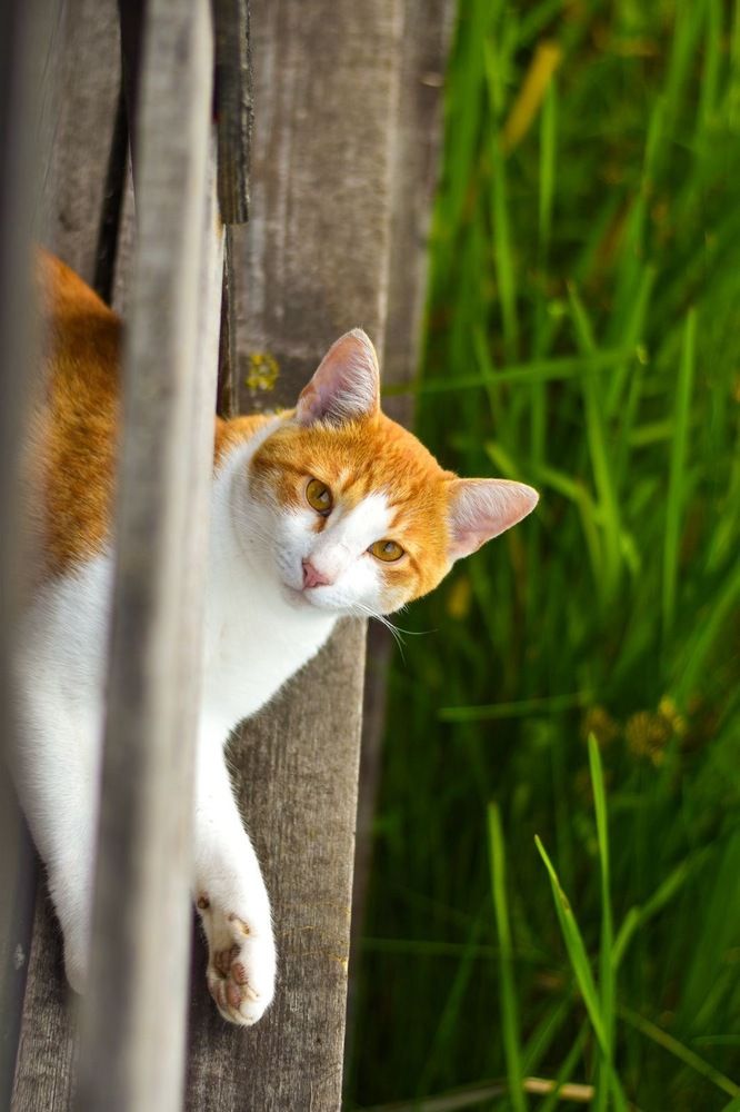 Photograph by Elvira