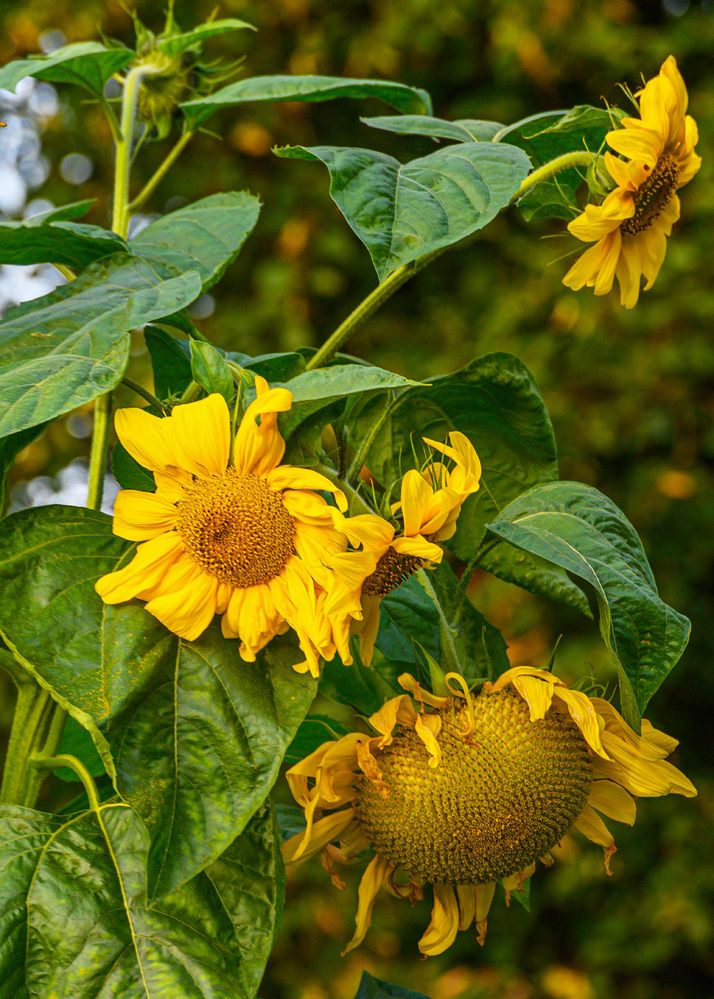 Photograph by Марина Короткова