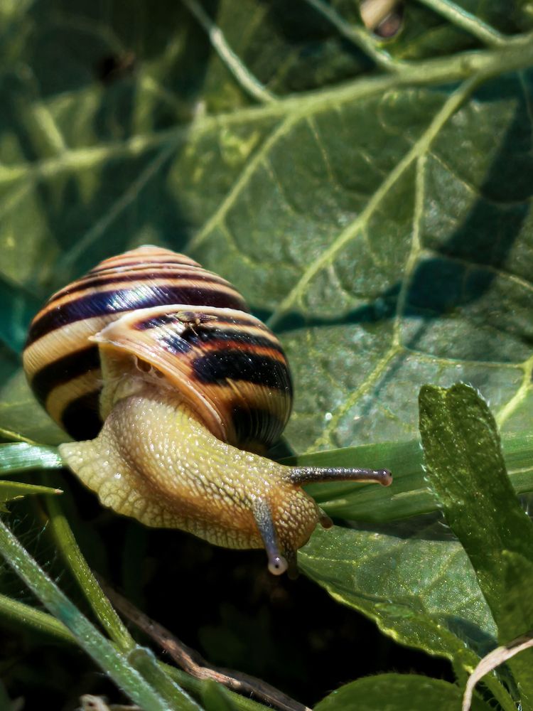 Фотография автора Любовь