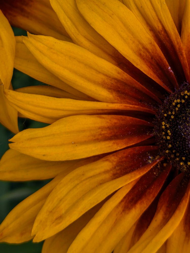 Фотография автора Любовь