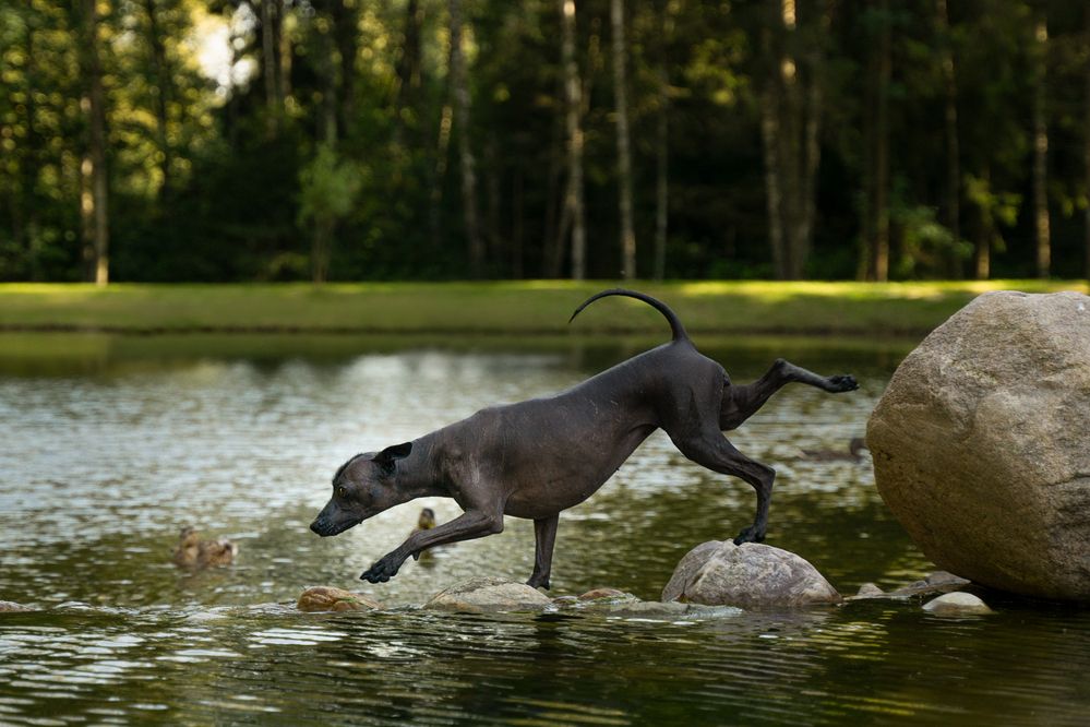 Photograph by Гречаная Мария