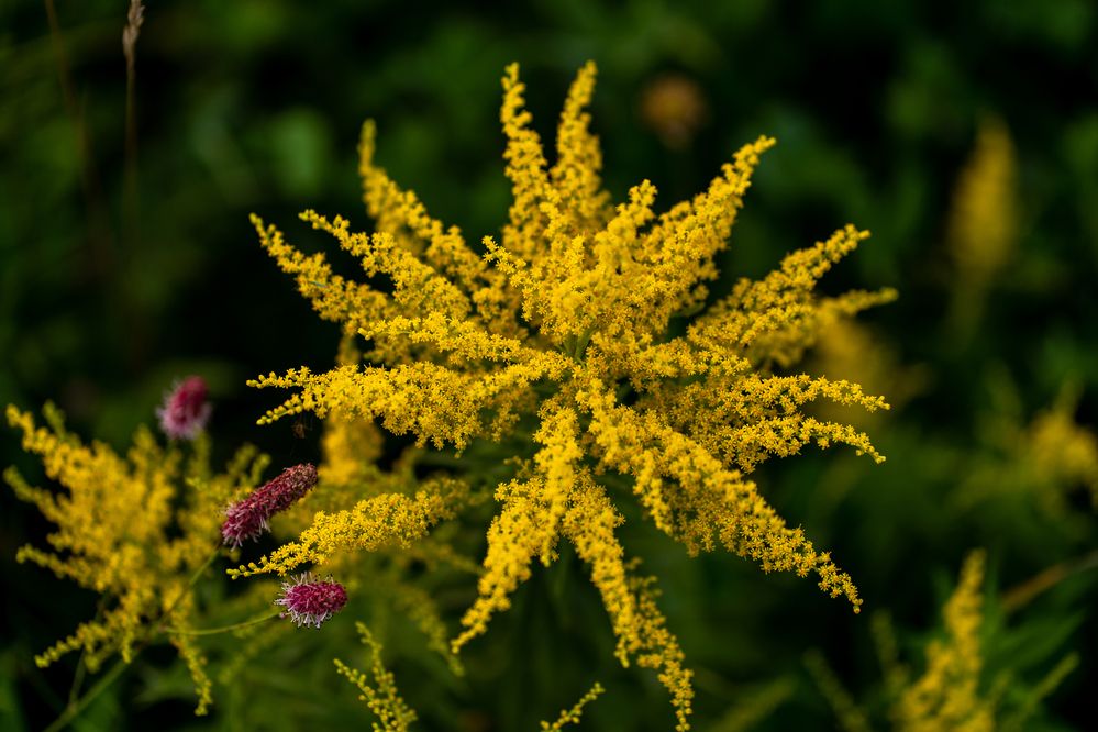 Photograph by Галина Искандарова