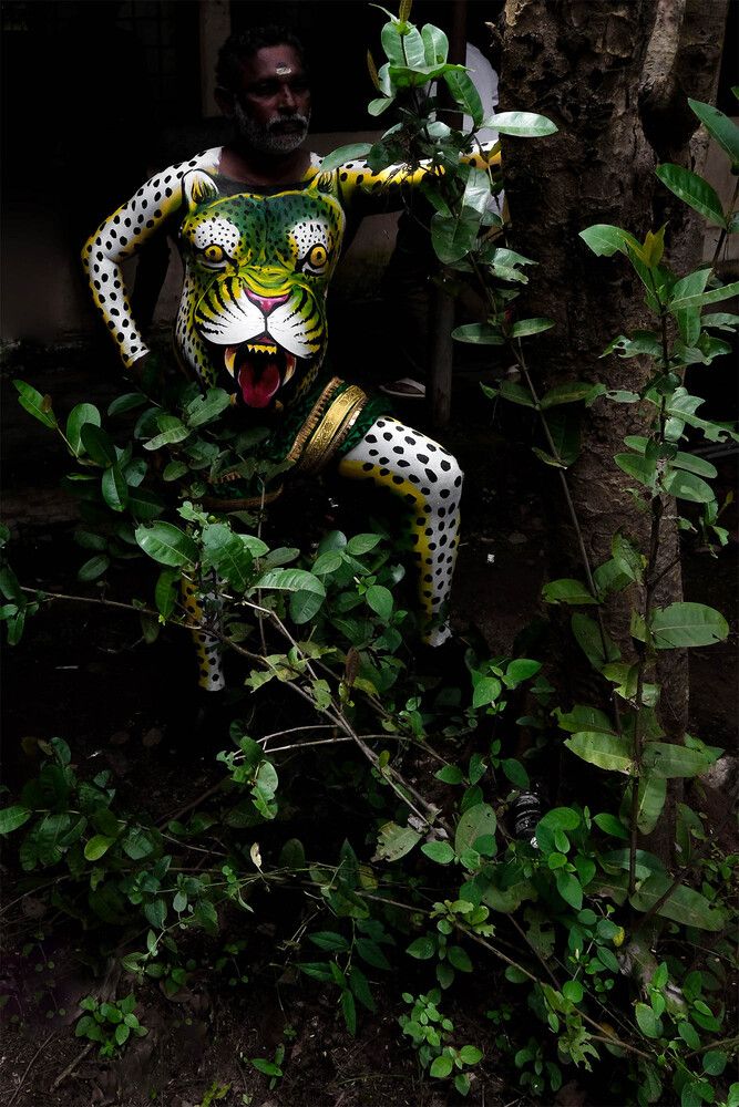 Фотография автора Abie Davies Thekkanath