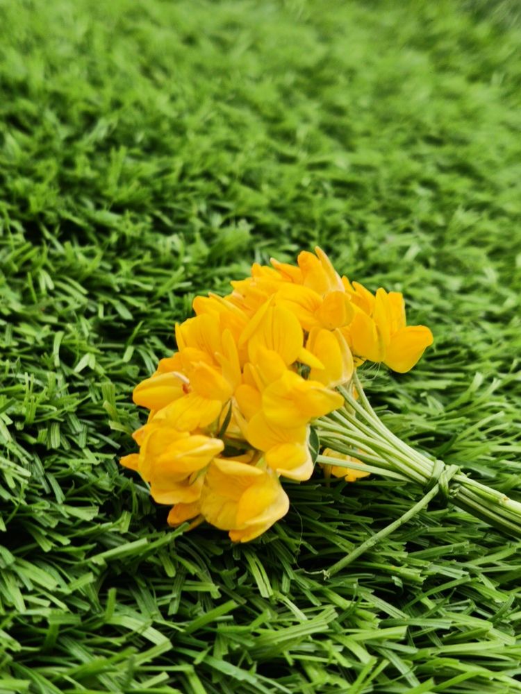 Photograph by Лариса Натальская