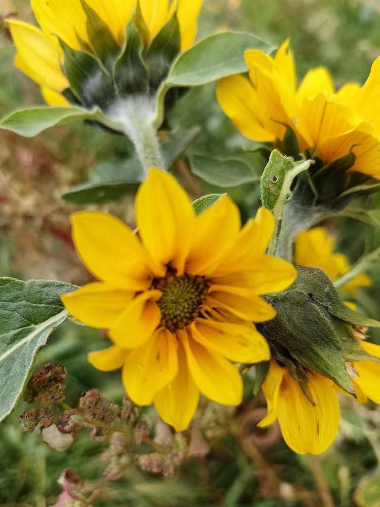 Photograph by Лариса Натальская