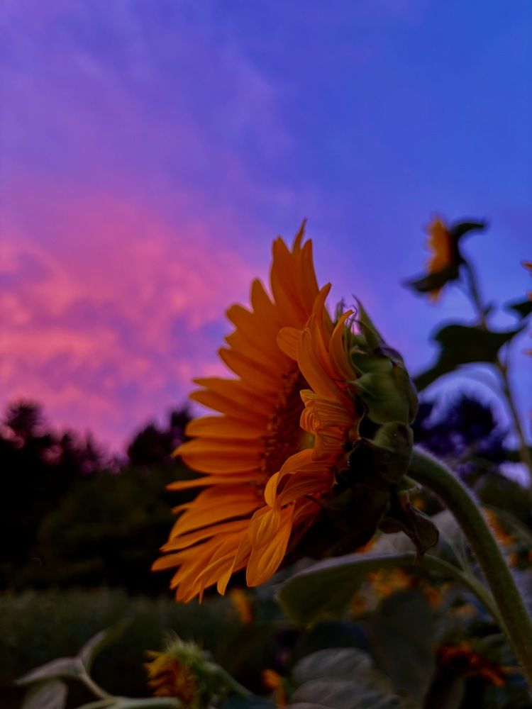 Photograph by Nagasaki Marina