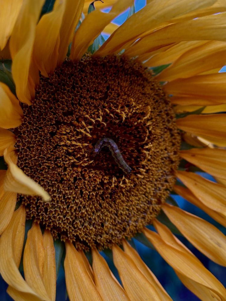 Photograph by Nagasaki Marina