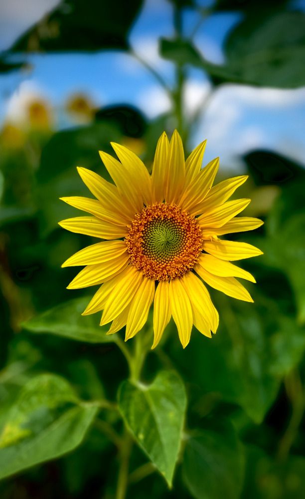 Photograph by Марина Козлова