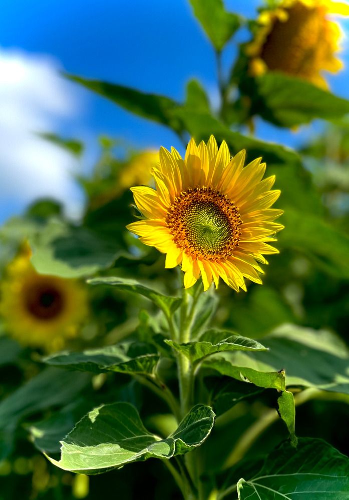 Photograph by Марина Козлова