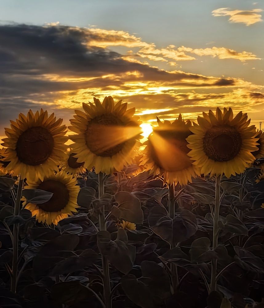 Photograph by Maiya Bulatova