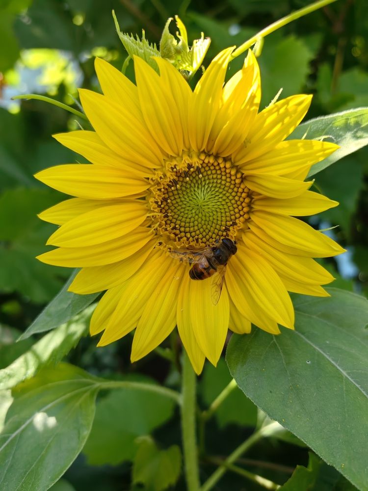 Photograph by Maiya Bulatova