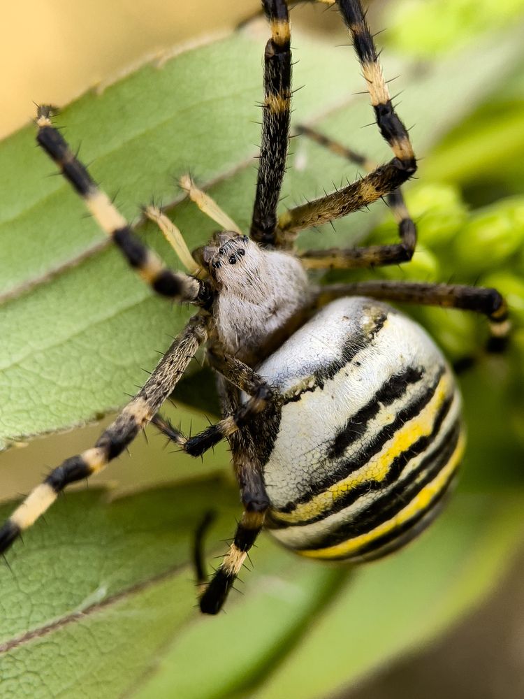 Фотография автора Юлия Максимова