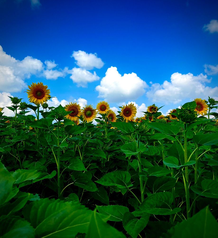 Photograph by Марина Козлова