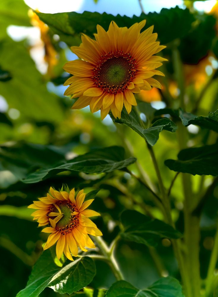 Photograph by Марина Козлова