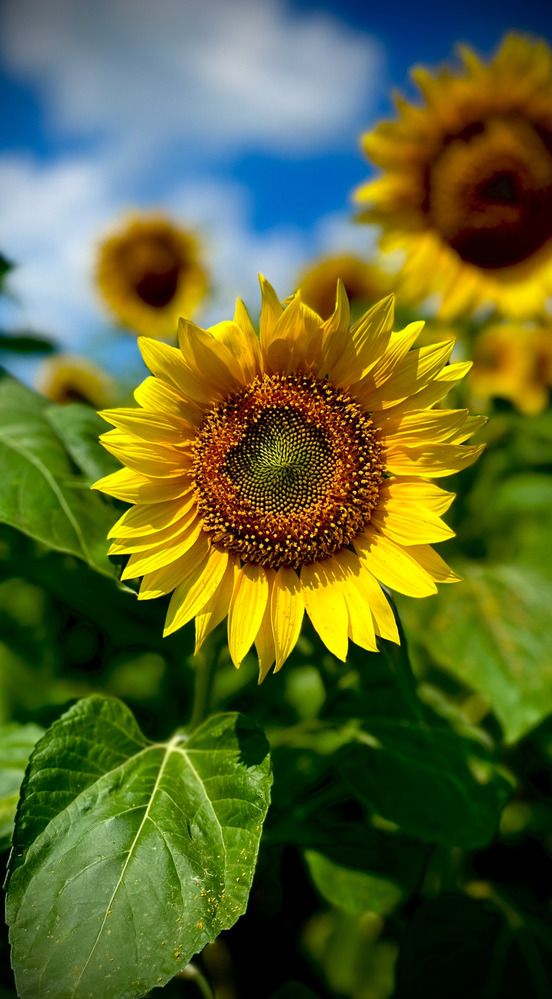 Photograph by Марина Козлова