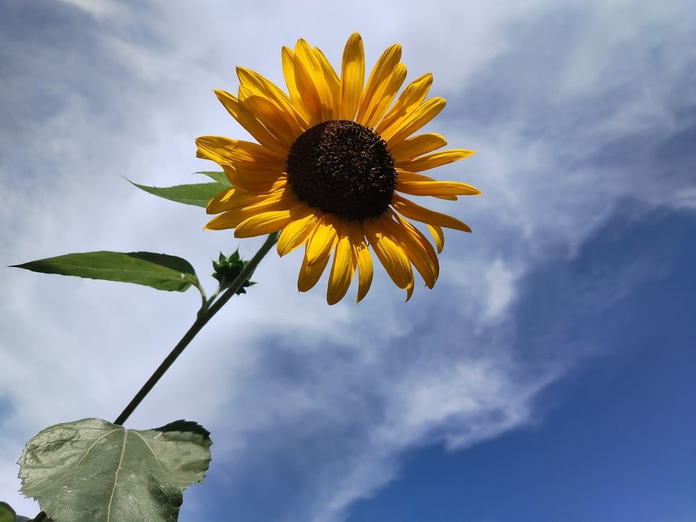 Photograph by Анастасия