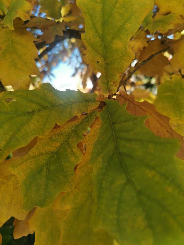 Photograph by Ирина Хацкова