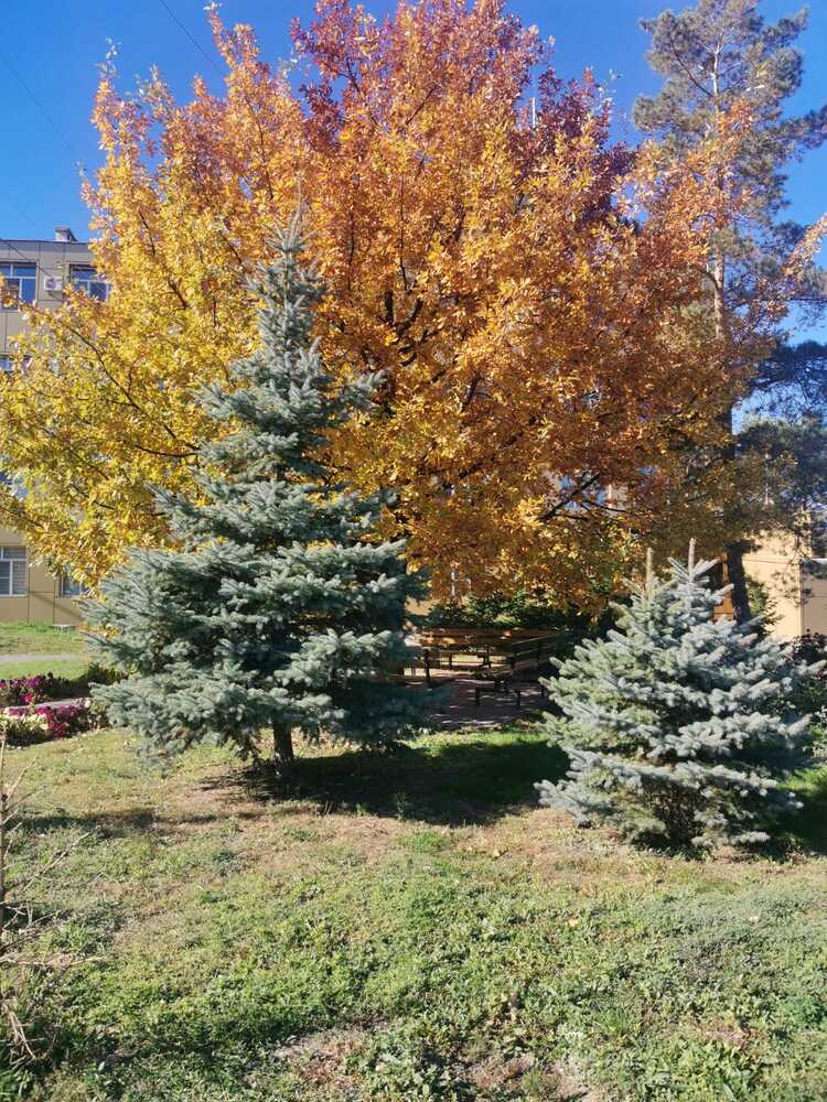 Photograph by Ирина Хацкова