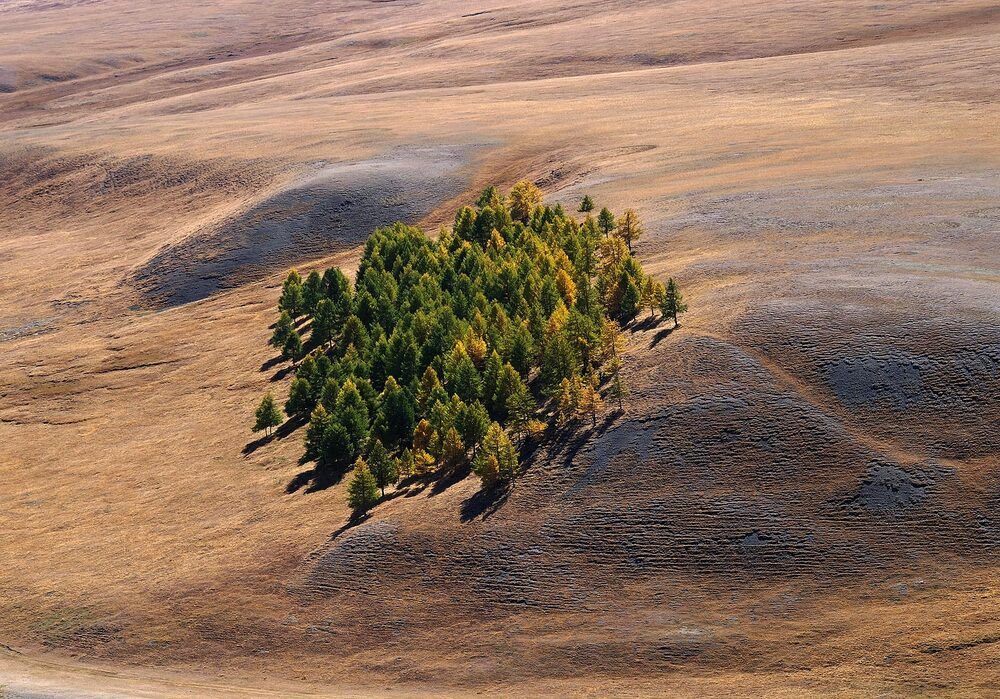Photograph by Дмитрий Ткаченко