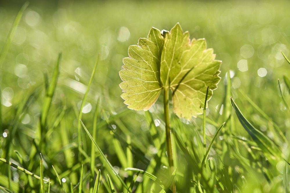 Photograph by Puum Mati