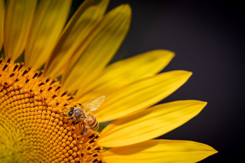 Photograph by Suzuki Ryuta
