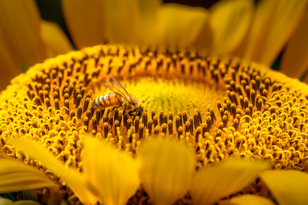 Photograph by Suzuki Ryuta