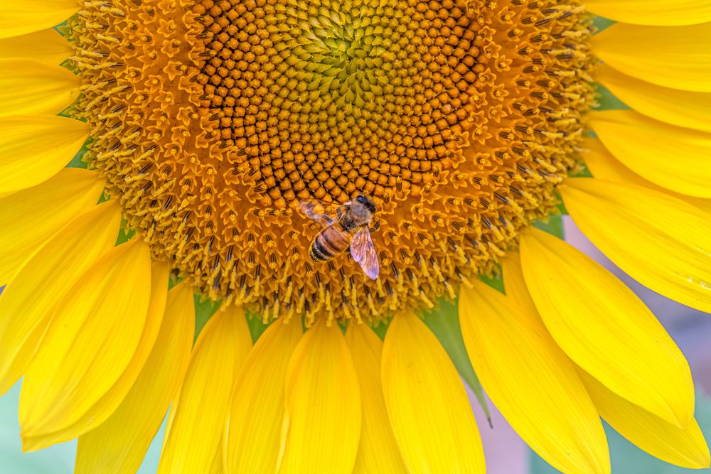 Photograph by Suzuki Ryuta