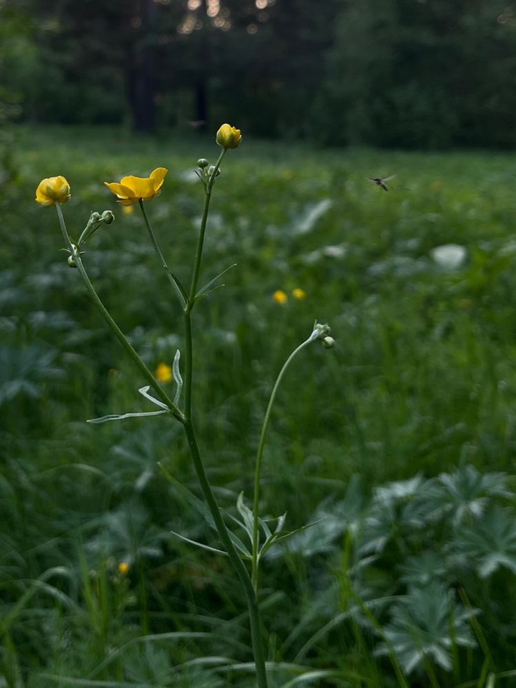 Photograph by Екатерина Усольцева