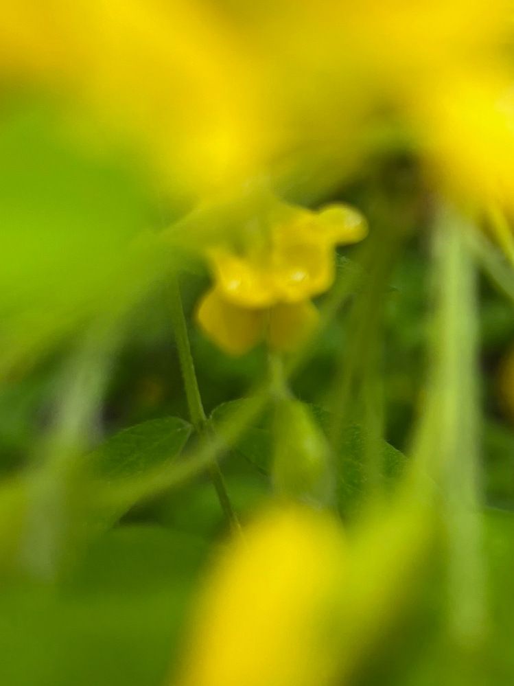 Photograph by Екатерина Усольцева