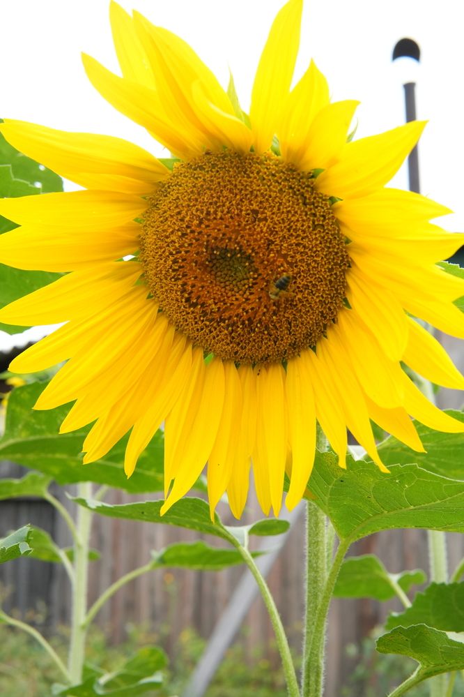 Photograph by Андрей Корытов