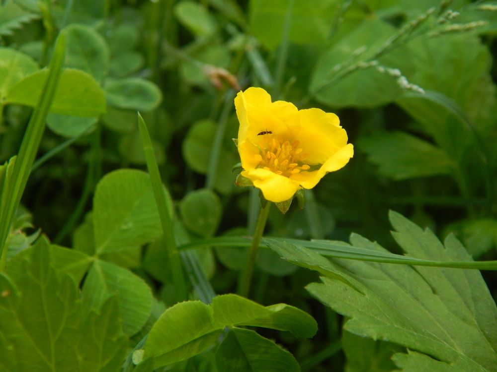 Photograph by Кирилл Елесин