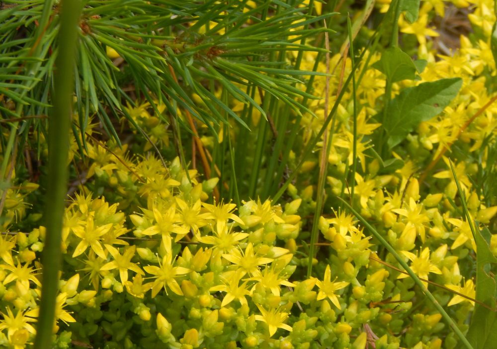 Photograph by Кирилл Елесин