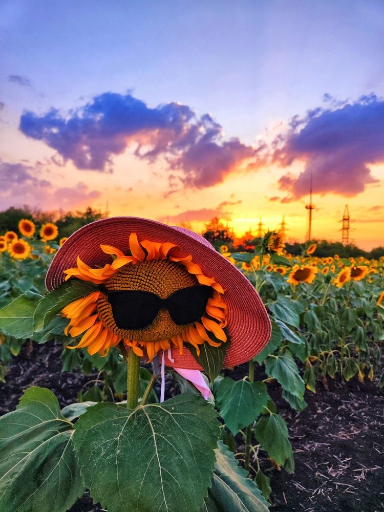 Photograph by Анна Напримерова