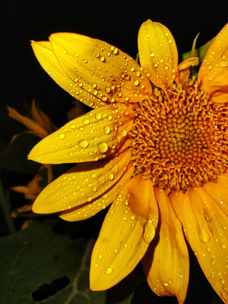 Photograph by Анна Напримерова