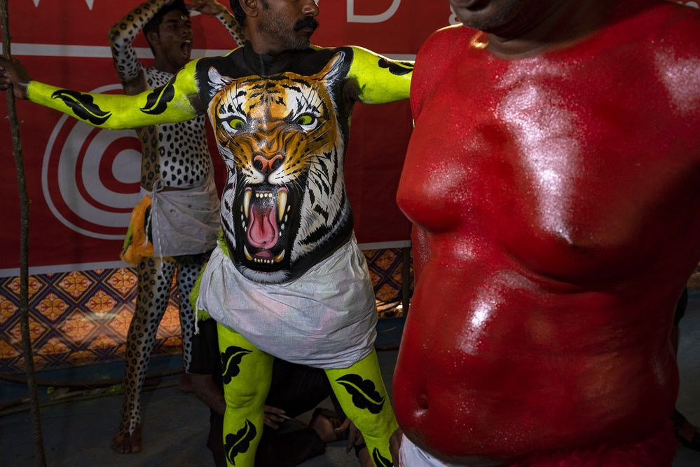 Фотография автора Abie Davies Thekkanath