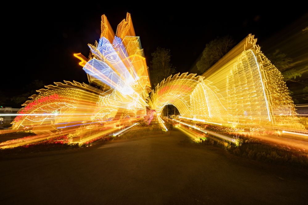 Photograph by Quang Thăng Lê